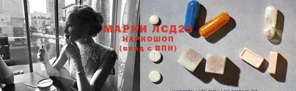 индика Белоозёрский