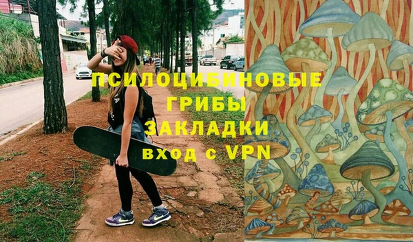 индика Белоозёрский