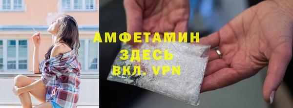 индика Белоозёрский