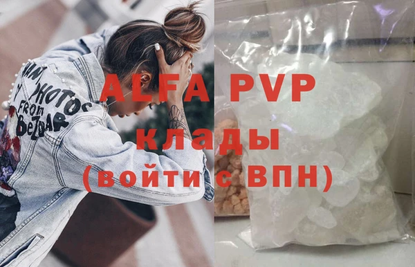 индика Белоозёрский