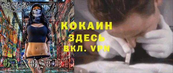индика Балабаново