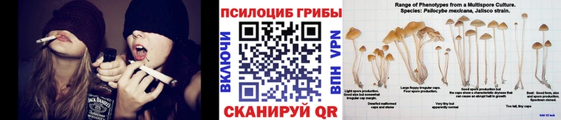 Галлюциногенные грибы Magic Shrooms  купить наркотик  Краснообск 