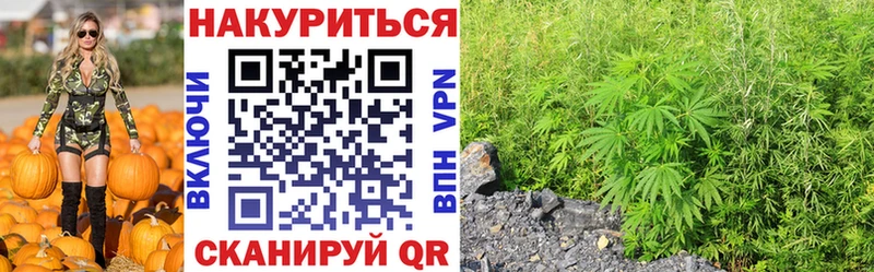 мега онион  где продают наркотики  Краснообск  Бошки марихуана индика 